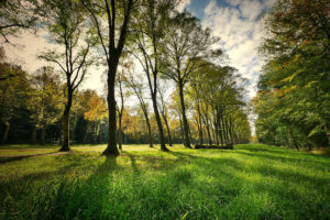 parc