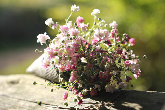 bouquet fleur